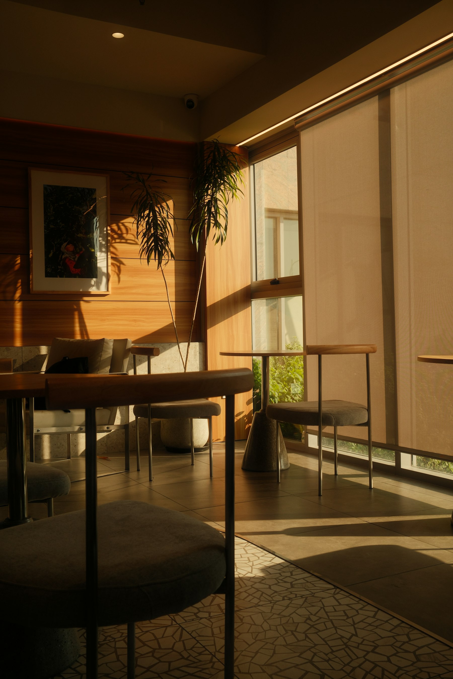 Sunlight across wooden café tables and warm walls